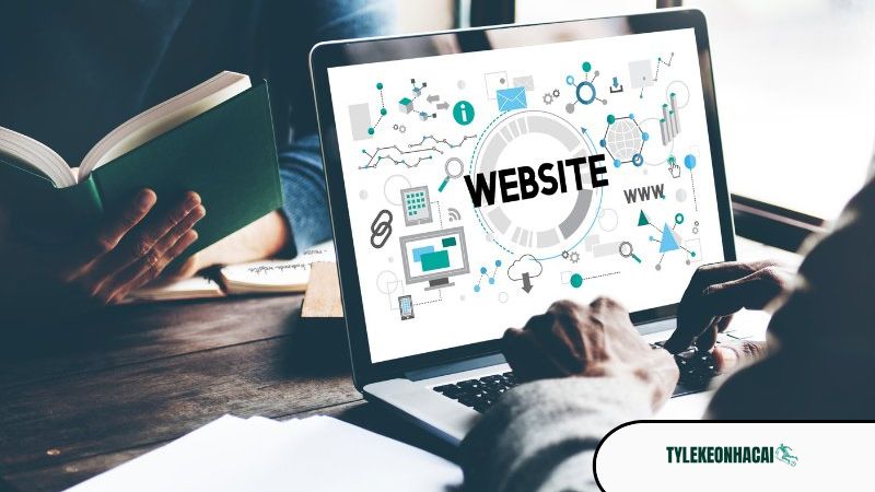 Vai trò của Luca Trần