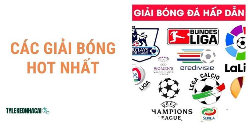 Tại apbienesraices.com.co luôn cập nhật đầy đủ lịch mọi giải đấu bóng