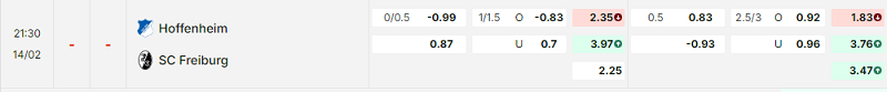 Bảng kèo mới nhất trận Hoffenheim vs Freiburg